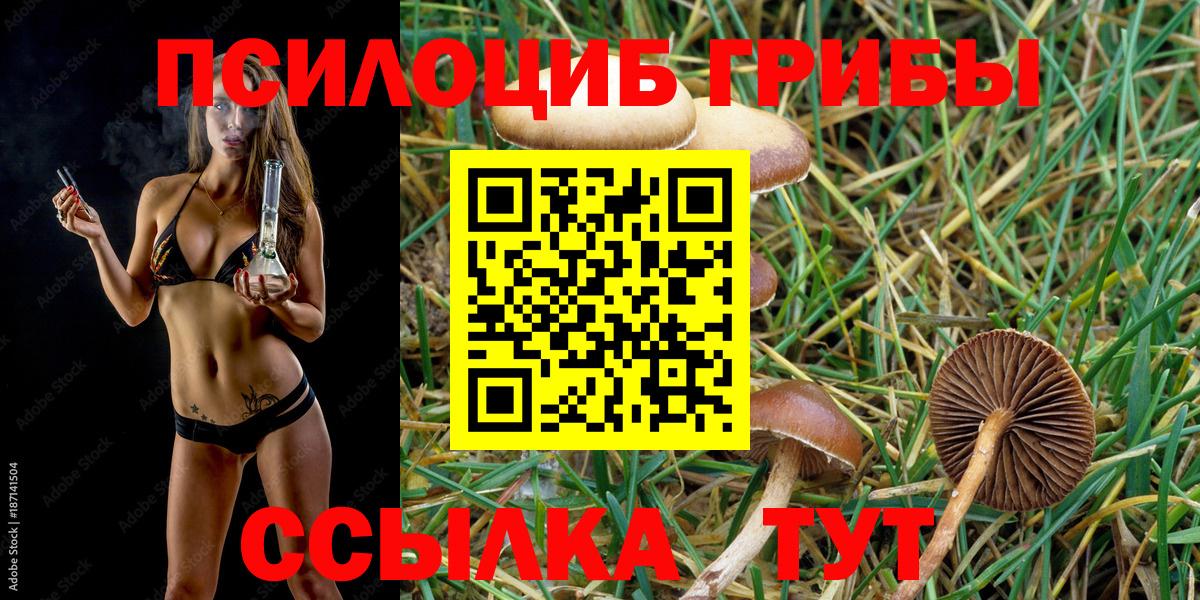 что такое   Вход с VPN  Севастополь  Галлюциногенные грибы мицелий  Псилоцибиновые грибы Psilocybe 